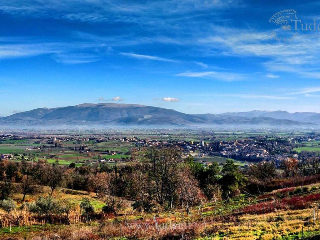 vista Assisi