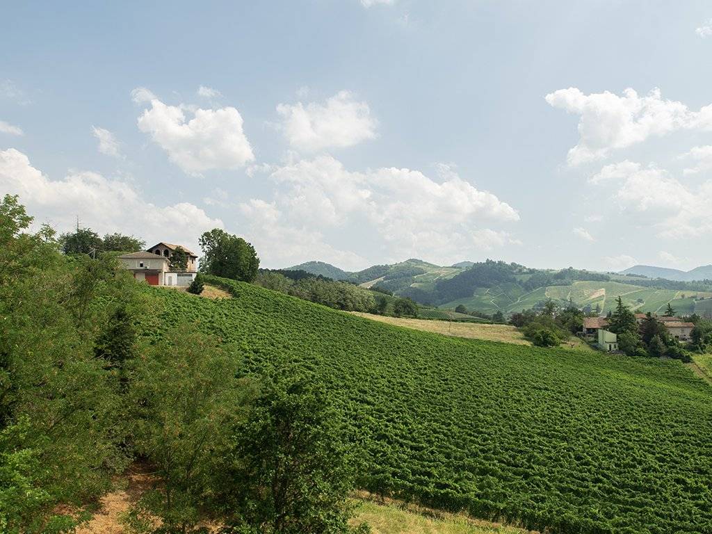 VISTA DALLA TERRAZZA