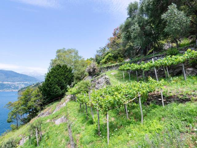 Dorio Fronte Lago Como - Rif.LC044 -40