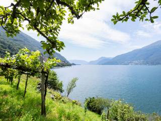 Dorio Fronte Lago Como - Rif.LC044 -42