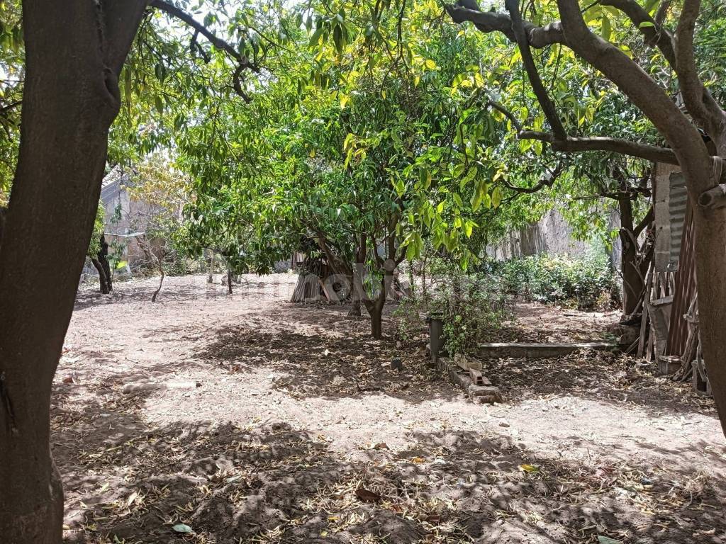 terreno