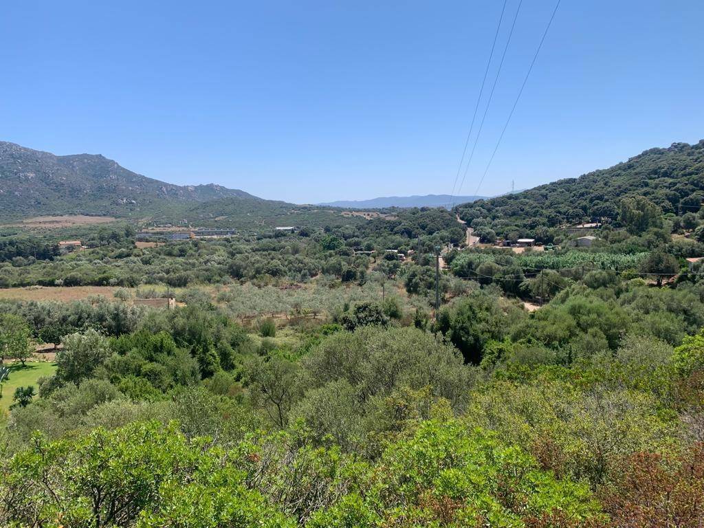 Terreno agricolo via del grifone, 1, santa lucia, olbia