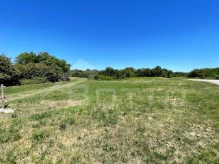 terreno vendita cavallirio 6