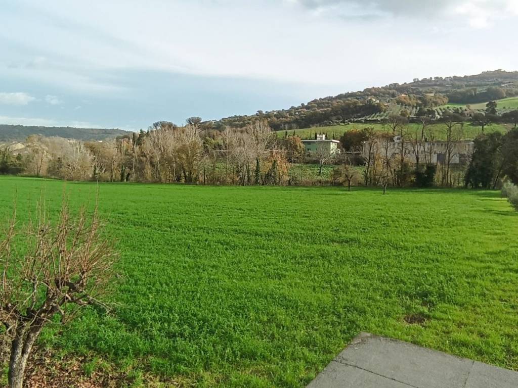 Terreno agricolo località castiglione, apice