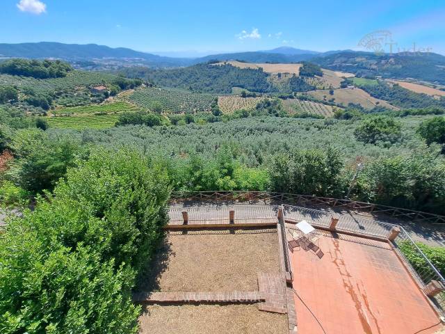 vista dal giardino