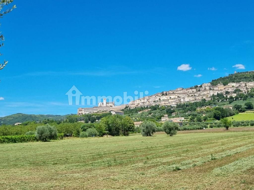 panorama su Assisi