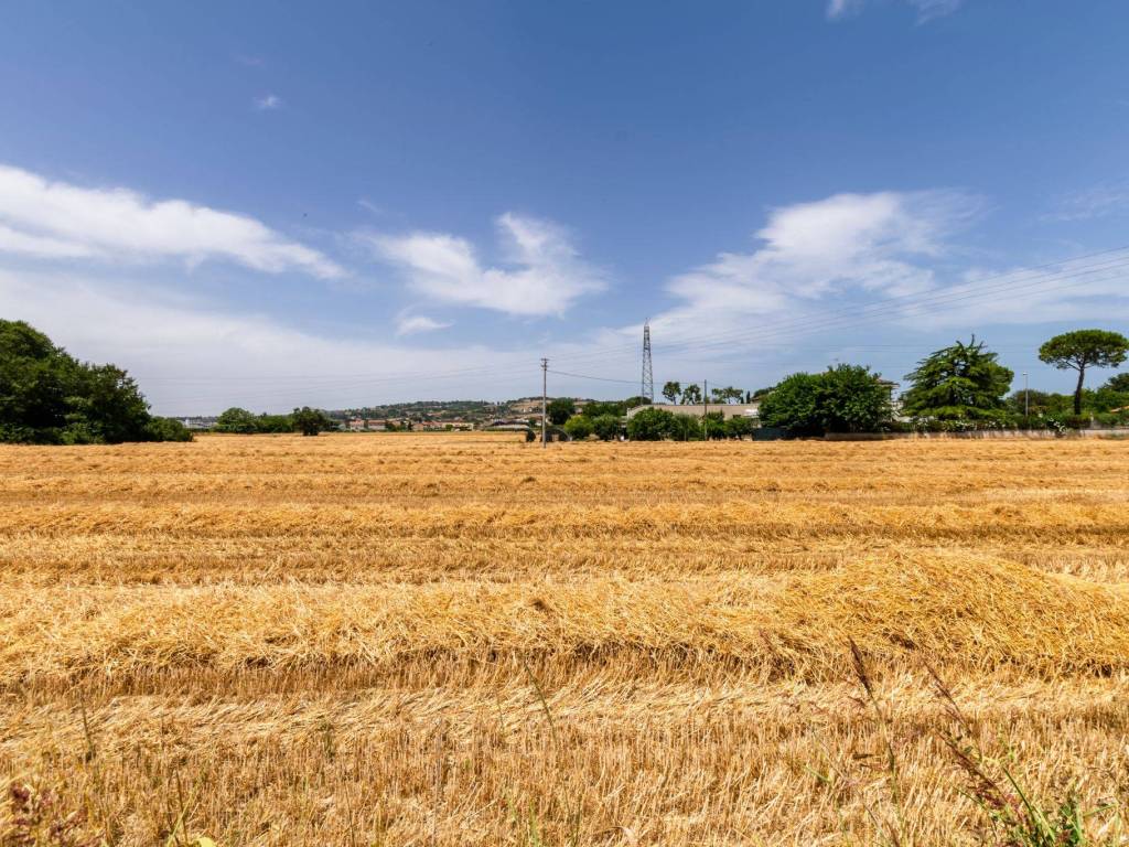 Terreno agricolo via del torrione 160, santa maria apparente, zona industriale, civitanova marche