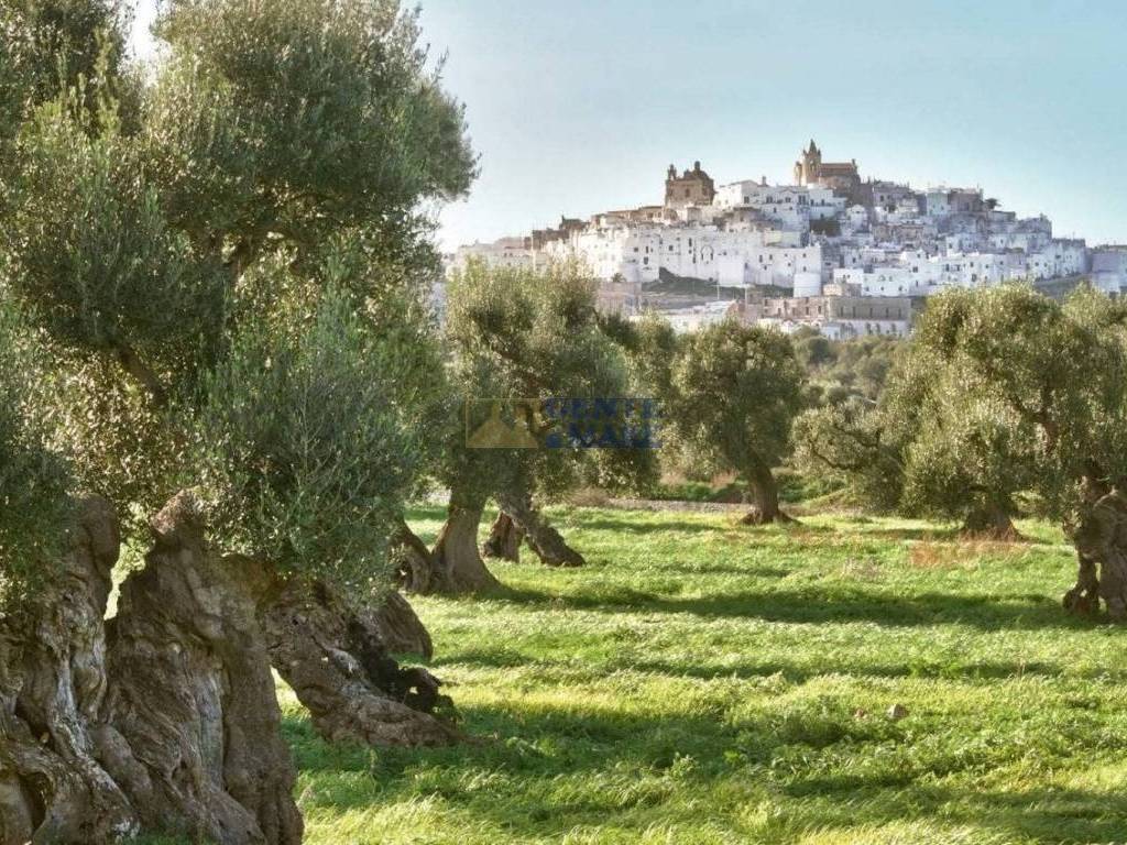 Masseria Exclusive Puglia