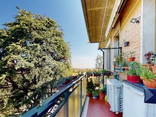 Cp69 BALCONE