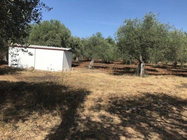 Terreno agricolo strada vicinale maccia crabili 11, la landrigga - monte oro, sassari