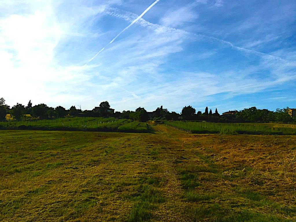 Terreno agricolo ampugnano, ampugnano, sovicille