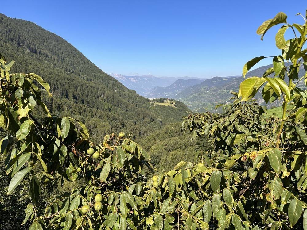 Terreno edificabile, collepietra, cornedo all'isarco