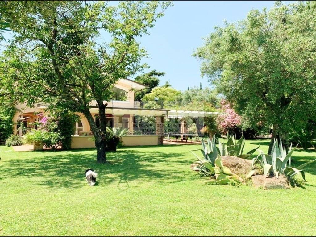 Villa with pool and garden in Versilia