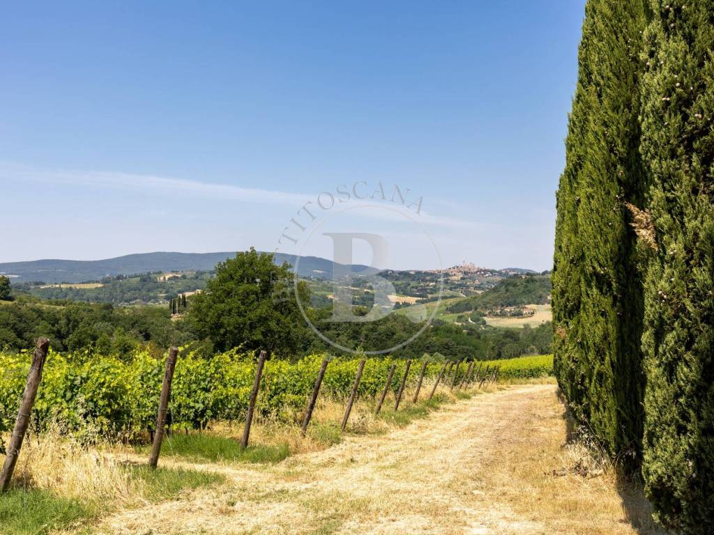 San Gimignano, azienda agrituristica con piscina,