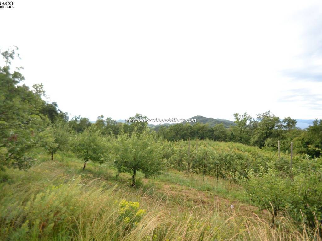 Terreno agricolo via ca' dei danni 21, san zeno, san zeno di montagna