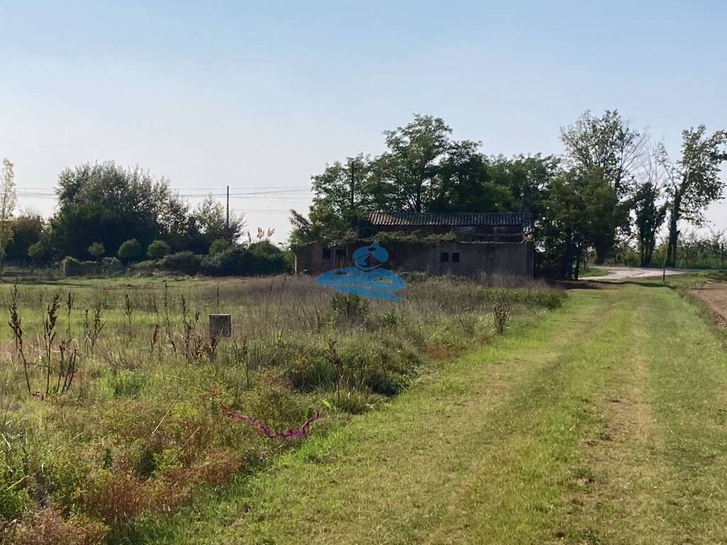 Terreno edificabile via canalazzo 113, agrario, ravenna