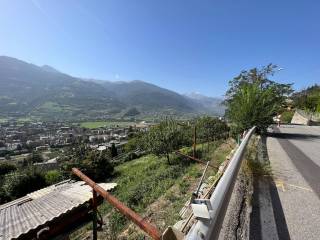 Vista