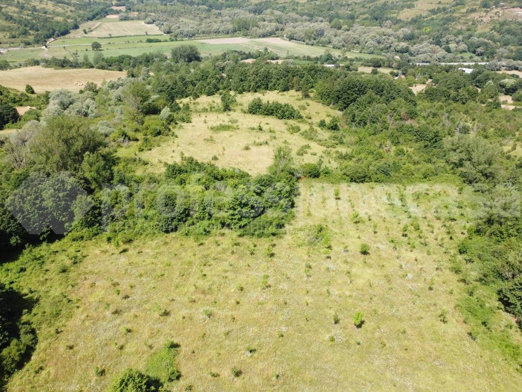 Vista drone terreni con noci