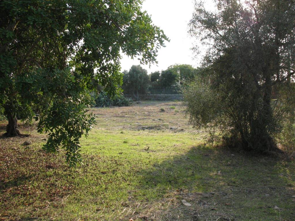 Terreno agricolo via pantelleria, augusta