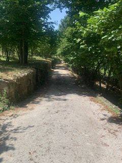 Terreno agricolo contrada caserini, aiello del sabato