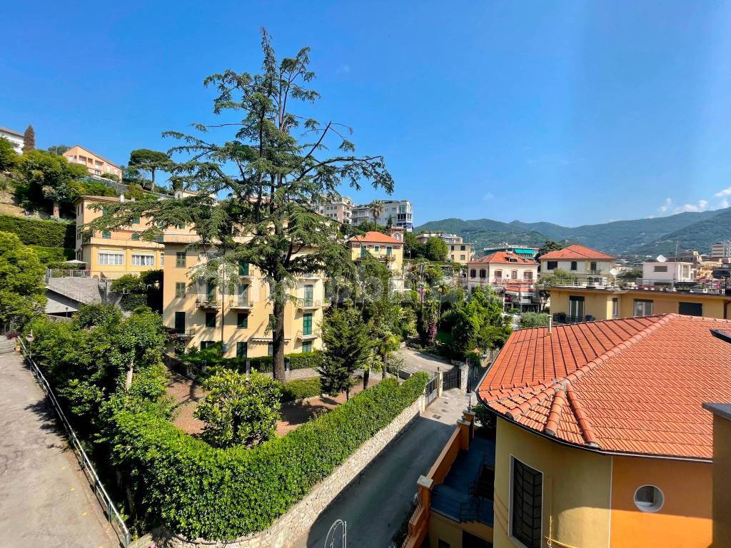 Vista