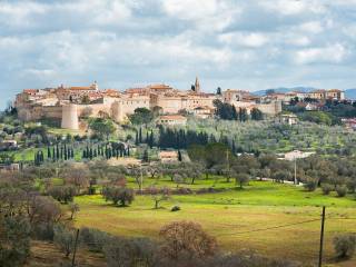 Foto - Vendita villa con giardino, Magliano in Toscana, Maremma e Argentario