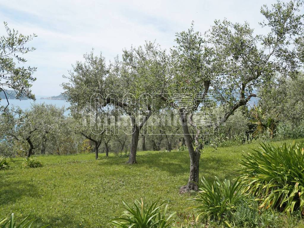 Giardino con vista mare