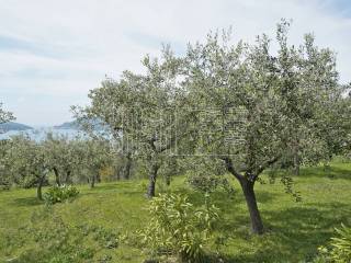 Giardino con vista mare