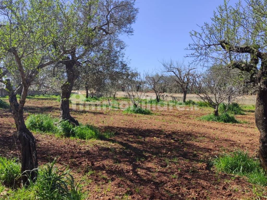 trullo-castellana