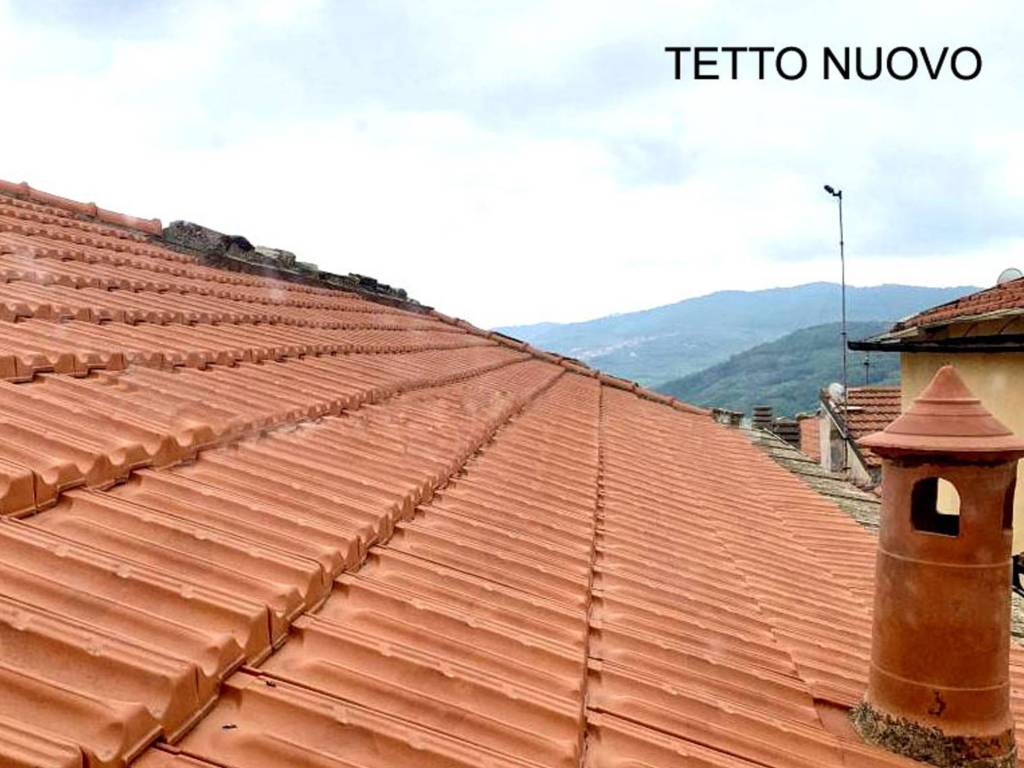 teto nuovo