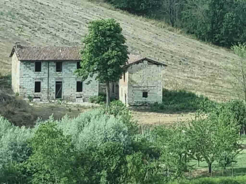 VISTA DA LONTANO