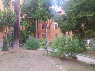 CORTILE