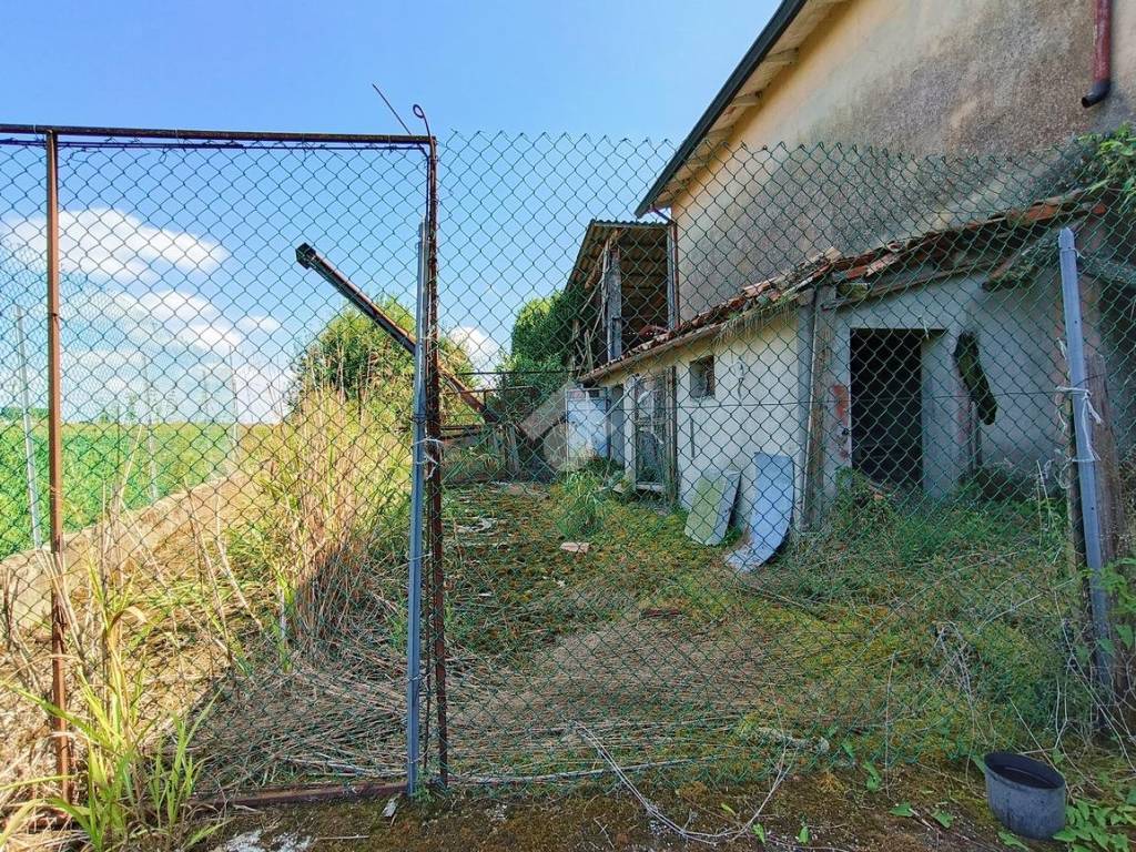 USCITA GIARDINO NEL RETRO ZONA GIORNO PIANO T.