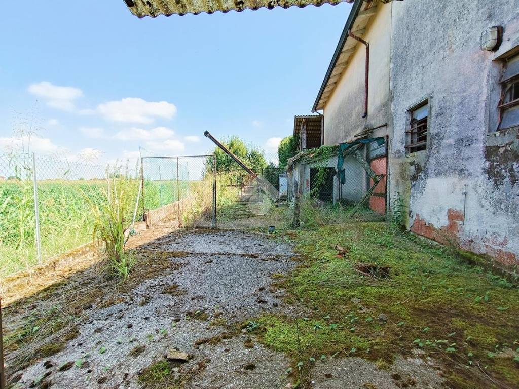 USCITA GIARDINO NEL RETRO ZONA GIORNO PIANO T.