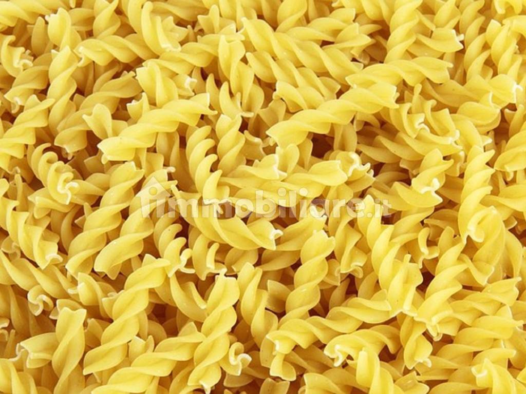 pasta