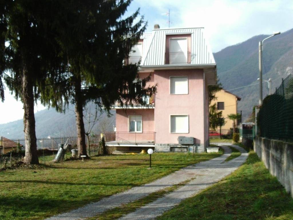 Affitto Appartamento Caslino D Erba Trilocale Buono Stato Con affitto-appartamento-caslino-d-erba-trilocale-buono-stato-con