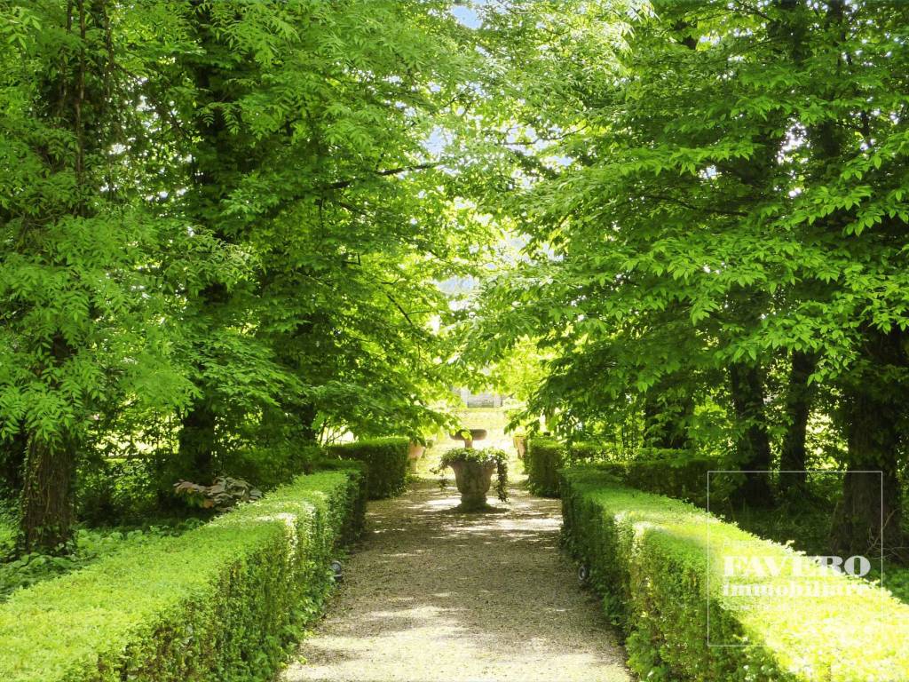 viale nel parco