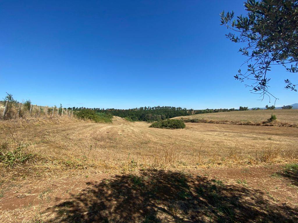 Terreno agricolo via vallelata, vallelata, aprilia