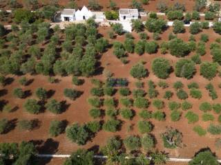 Trullo Paradiso Pugliese