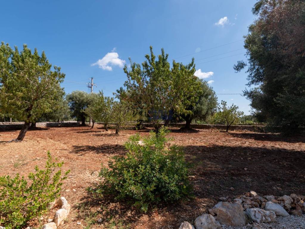 Trullo Magnifica Puglia