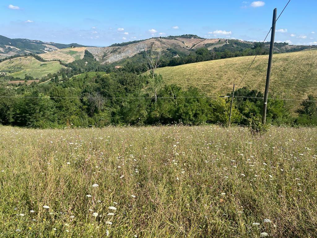 Terreno agricolo via mercatale sette fonti, mercatale, ozzano dell'emilia