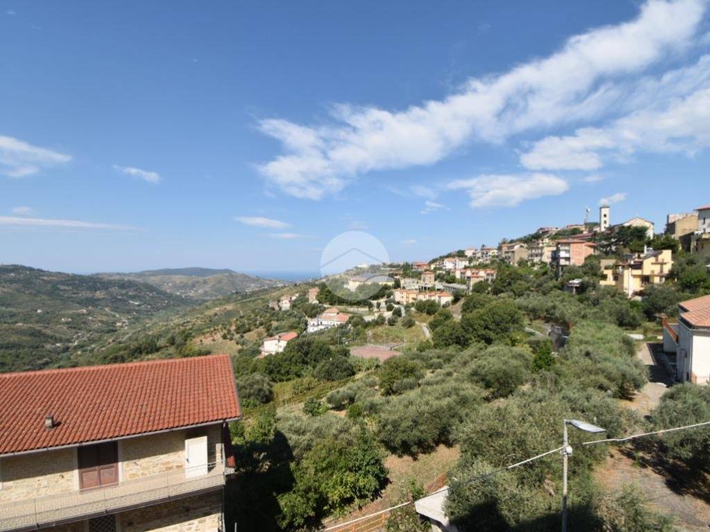 vista panoramica