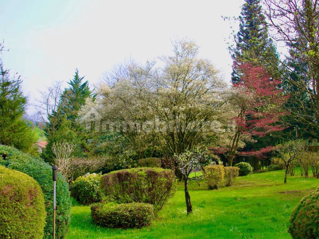 2.3 Miasino-Villa-vendita-giardino4