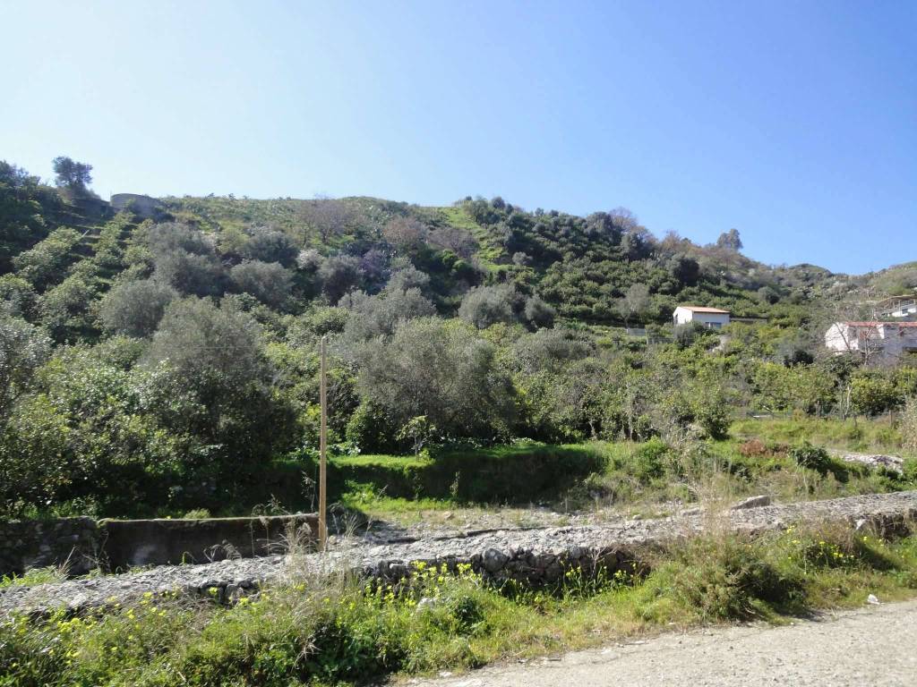 Terreno agricolo contrada landro, nizza di sicilia