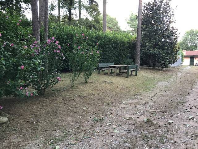 Giardino