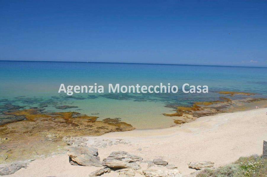 Una spiaggia vicina