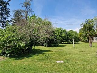 whatsapp image 2022-05-03 at 1