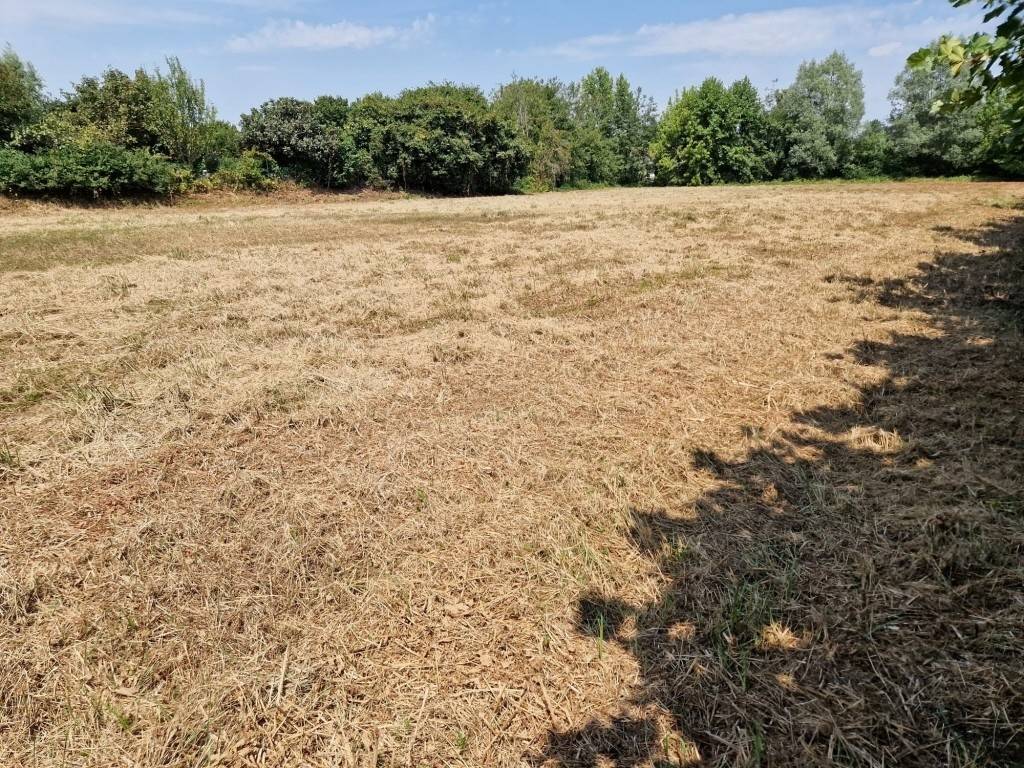 Terreno agricolo via boschetta, centro, grumolo delle abbadesse