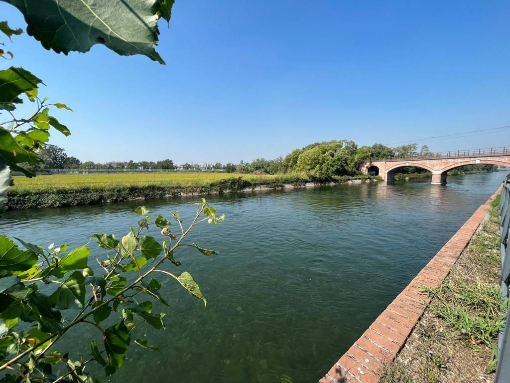 NAVIGLIO