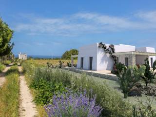 Foto - Vendita villa con giardino, Salve, Salento